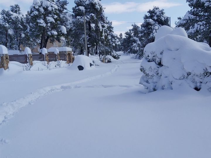 151232862_150298280270259_7395880008469137300_o