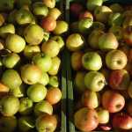 Σταμπουλίδης: Κλειστά μετά τις 17.00 μίνι μάρκετ, ψιλικατζίδικα και μανάβικα σε Αθήνα, Θεσσαλονίκη