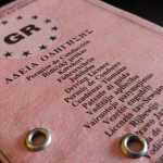 Κατερίνη: Ελεύθεροι οι συλληφθέντες για το κύκλωμα με τα διπλώματα οδήγησης