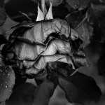 Σοκ στο Κερατσίνι: Αυτοκτόνησε 15χρονος μαθητής