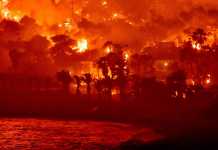 Στάχτη πάνω από 40.000 στρέμματα δάσους – Καταστροφές σε σπίτια