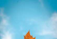 Καιρός: Μικρή άνοδος της θερμοκρασίας για αύριο Δευτέρα