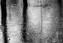 Νεκρός εντοπίστηκε ο 69χρονος αγνοούμενος στην Εύβοια