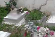 Καταγγελία Σοκ: Παράνομο νεκροταφείο με τάφους παιδιών σε αυλή σπιτιού ιερέα στα Καλύβια Αττικής