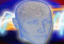 Έρευνα: Η προσωπικότητα παίζει ρόλο στην ταχύτητα γνωστικής εξασθένισης του εγκεφάλου