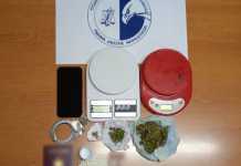 Μεσσηνία: Έλληνας και αλλοδαπός διακινούσαν κάνναβη και αναβολικά αλλά έπεσαν στα χέρια της Αστυνομίας!