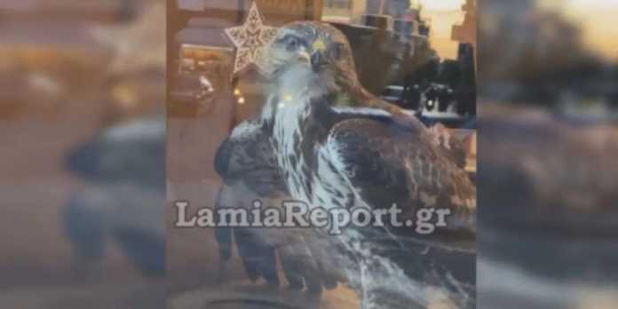 geraki-katastima-lamia-4-1-2022