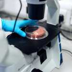 Κορονοϊός: Πολωνοί επιστήμονες εντόπισαν γονίδιο που διπλασιάζει τον κίνδυνο σοβαρής νόσησης