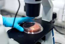 Κορονοϊός: Πολωνοί επιστήμονες εντόπισαν γονίδιο που διπλασιάζει τον κίνδυνο σοβαρής νόσησης