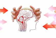 Εγκρίθηκε το Εθνικό Σχέδιο αντιμετώπισης Εγκεφαλικών επεισοδίων