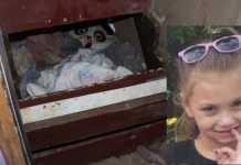 ΗΠΑ: Εντοπίστηκε σε μυστική κρύπτη η 6χρονη που αγνοείτο από το 2019 – Είναι καλά στην υγεία της