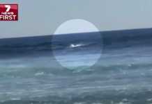 Αυστραλία: Λευκός καρχαρίας κατασπάραξε 35χρονο σέρφερ! (ΠΡΟΣΟΧΗ: Σκληρές εικόνες)