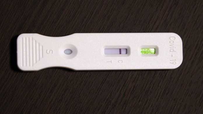rapid-test