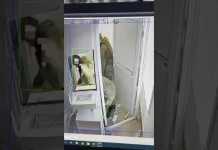 Ουκρανία: «Πλιάτσικο» Ρώσων στρατιωτών σε τράπεζα – Κλέβουν χρηματοκιβώτιο (Βίντεο)