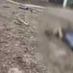 Ουκρανία: ‘Eφτασαν τους 10 οι Έλληνες νεκροί – Άλλοι 4 στο χωριό Σαρτανά