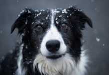 Κακοκαιρία: Χιονίζει σε Μαλακάσα και Ιπποκράτειο Πολιτεία – Η πρόβλεψη για τις επόμενες ώρες