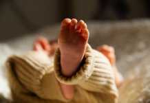 Φρίκη στη Θεσσαλονίκη: Εντοπίστηκε νεκρό βρέφος δίπλα σε κάδο απορριμάτων έξω από νεκροταφείο!