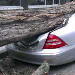 Αγ. Παρασκευή: Αποζημιώσεις οχημάτων από πτώση δέντρων