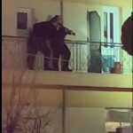 Νέα Ιωνία: Άφαντος ο διαρρήκτης που είχε μπει σε διαμέρισμα αστυνομικού – Φέρεται ότι άρπαξε το υπηρεσιακό όπλο