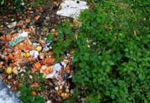 Παπάγου: Δημότης κάνει κομποστοποίηση έξω από τις αυλές των γειτόνων